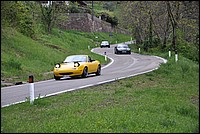 DSC_0415.JPG