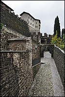 DSC_0429.JPG