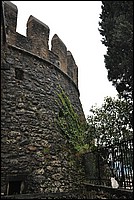 DSC_0433.JPG