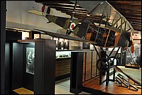 DSC_0486.JPG