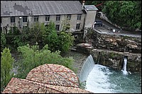 DSC_0504C.jpg