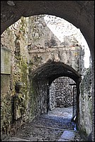 DSC_0564.JPG