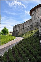 DSC_0568.JPG