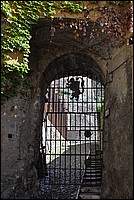 DSC_0572.JPG