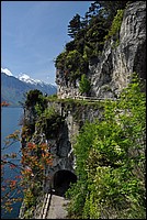 DSC_0681.JPG
