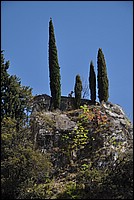 DSC_0705.JPG