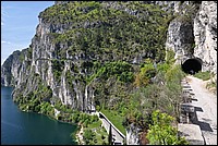 DSC_0710.JPG