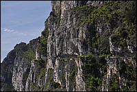 DSC_0711.JPG