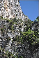DSC_0724.JPG
