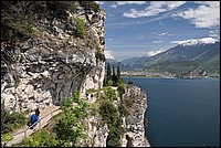 DSC_0774.JPG