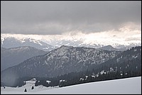 DSC_0886.JPG