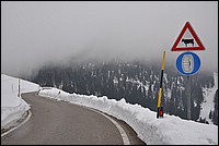 DSC_0888.JPG
