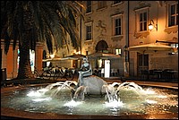 DSC_0906.JPG