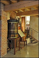 DSC_1000.JPG