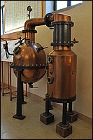 DSC_1010C.jpg