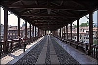DSC_1013G.jpg