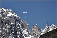 DSC_1130C.jpg
