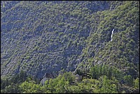 DSC_1157.JPG