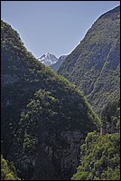 DSC_1159Co.jpg