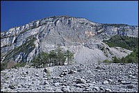 DSC_1174.JPG