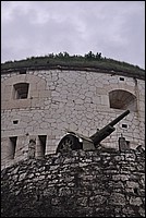 DSC_1207GCo.jpg