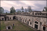 DSC_1236GCo.jpg
