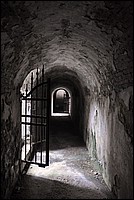 DSC_1250GCo.jpg