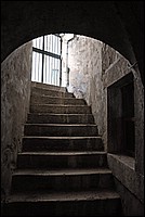 DSC_1253GCo.jpg