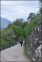 DSC_1356.JPG