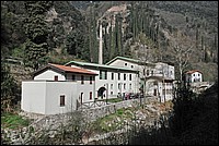 DSC_3687G.jpg