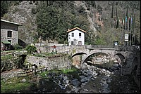 DSC_3689G.jpg