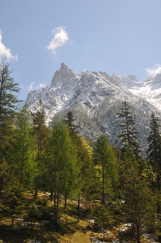 DSC_0121.JPG