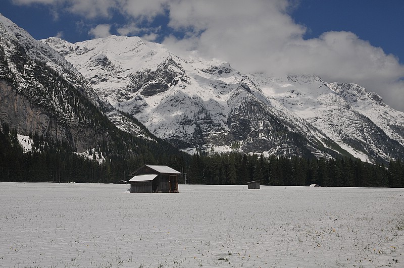 DSC_0130.JPG