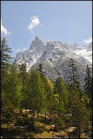 DSC_0121.JPG