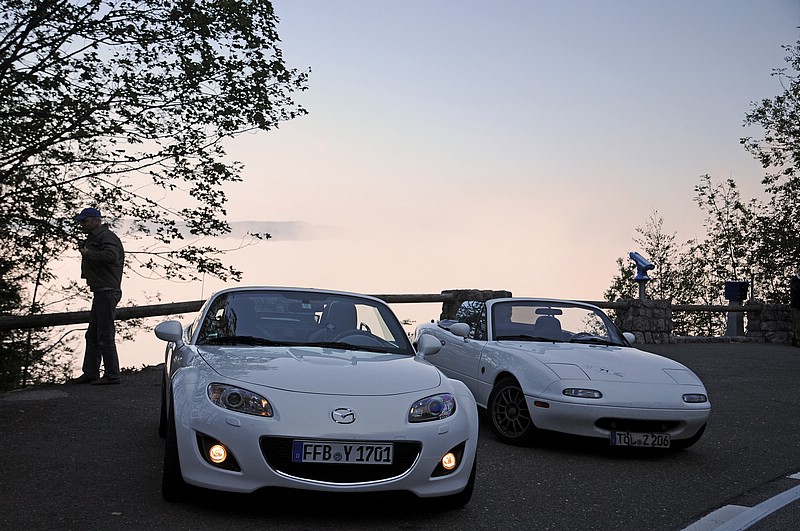 DSC_4868FG.jpg