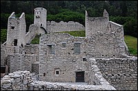 DSC_6075D.jpg