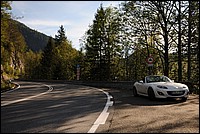 DSC_6167.JPG