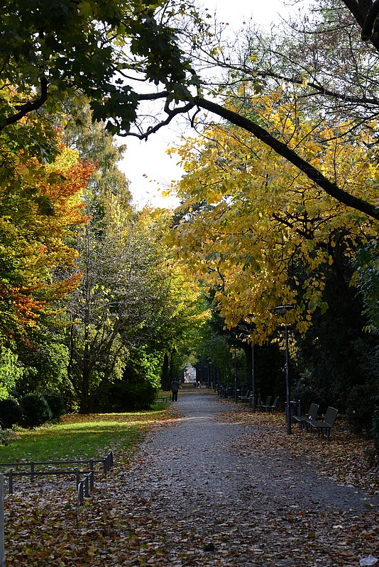DSC_1111.JPG
