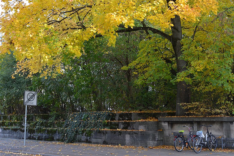 DSC_1198.JPG