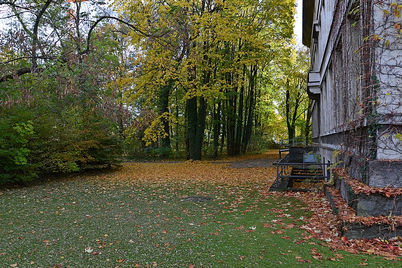 DSC_1200G.jpg