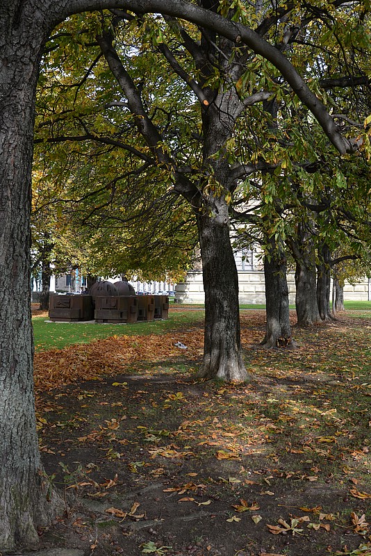 DSC_1237.JPG
