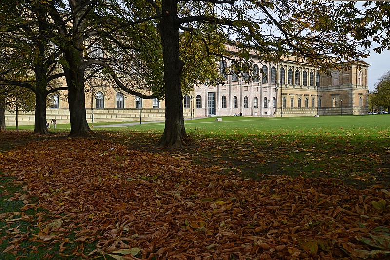 DSC_1246DG.jpg