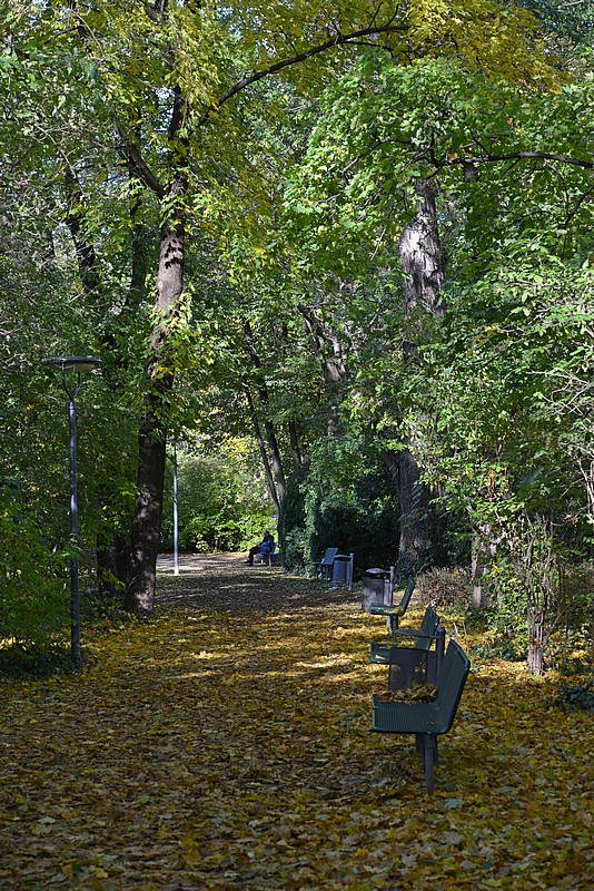 DSC_1342G.jpg