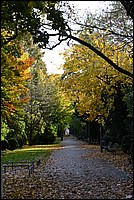 DSC_1111.JPG