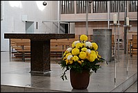DSC_1138.JPG