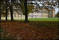 DSC_1246DG.jpg