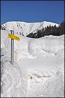 DSC_0011G.jpg