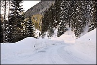 DSC_0038G.jpg
