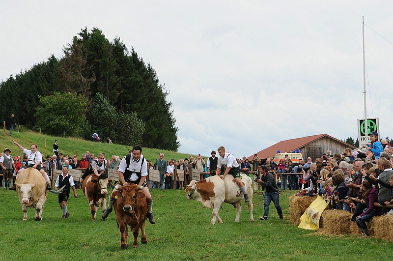 DSC_3873C.jpg
