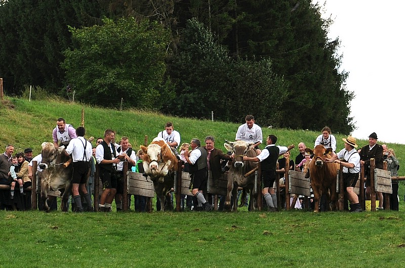 DSC_4057CE.jpg